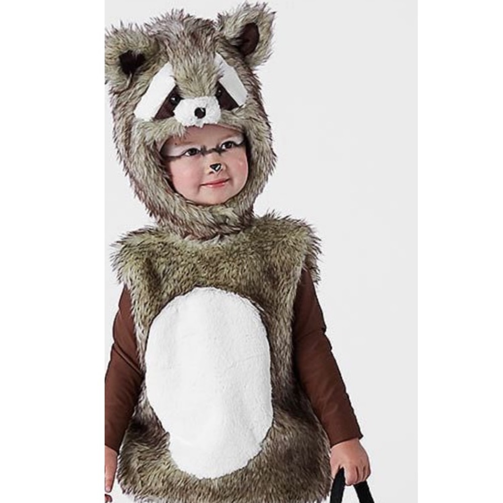 Pottery Barn Woodland Raccoon Costume
